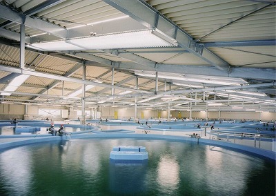 写真:温水利用研究センター水槽