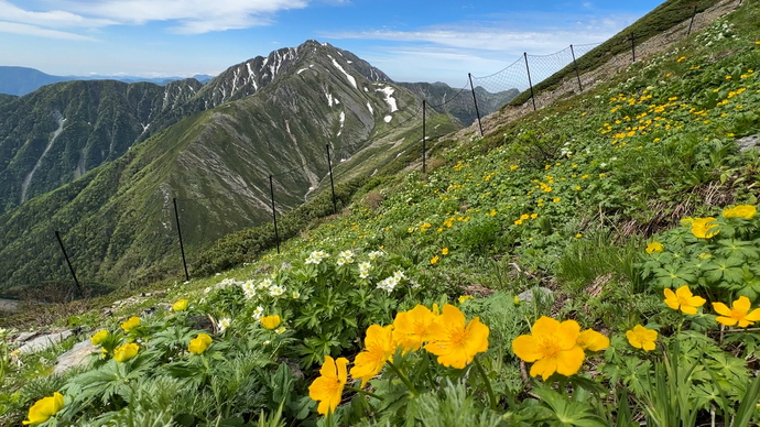 南アルプスユネスコエコパーク