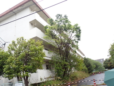 写真：静岡市葵区瀬名一丁目200番455