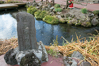 写真:泉の郷湧水公園2
