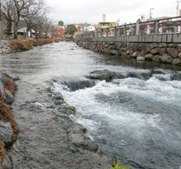 写真:湧玉池・神田川3