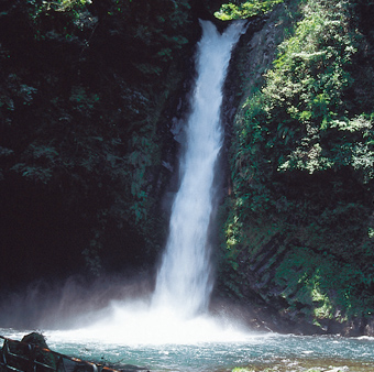写真：浄蓮の滝