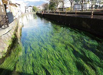 写真：田宿川