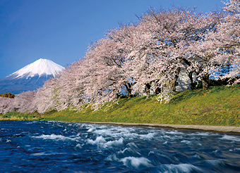 写真：龍巌淵