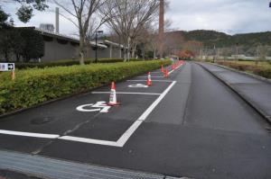 写真：愛鷹広域公園の園路