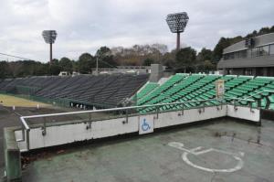 写真:愛鷹広域公園の車いす利用者用の野球場観覧スペース
