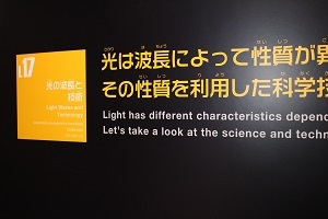写真：日本語と英語の館内表示