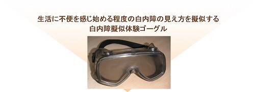 写真:白内障疑似体験ゴーグル