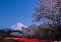 写真:入選3富士山と桜