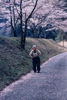 写真：平成18年度受賞作品最優秀賞