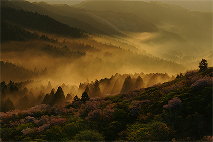 写真：平成24年度最優秀賞