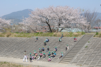 写真：平成24年度静岡県内の桜部門入選7