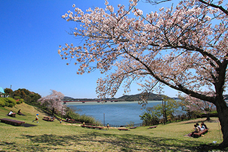 写真：平成24年度静岡県内の桜部門入選9