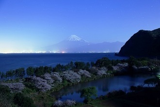 写真:平成29年度富士山と桜部門入選5