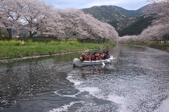 写真:平成30年度静岡県内の桜部門入選5