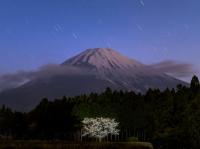 写真:令和3年度富士山と桜部門入選5