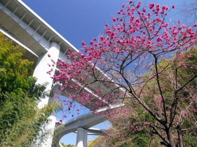 写真：令和3年度特別賞（静岡県道路利用者会議会長賞）