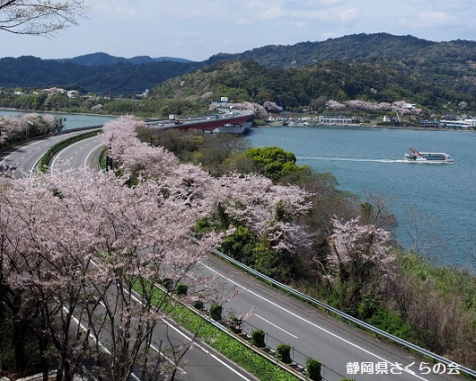 写真：春の高速道路を往く