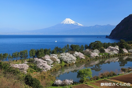 写真：静かな朝