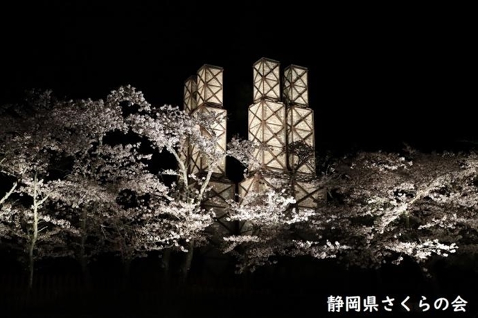 写真：夜空に浮かぶ韮山反射炉と桜