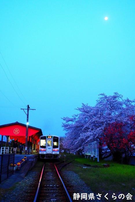 写真：月と桜と天浜線