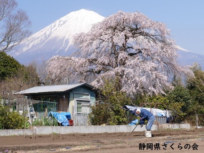 写真：農作業日和