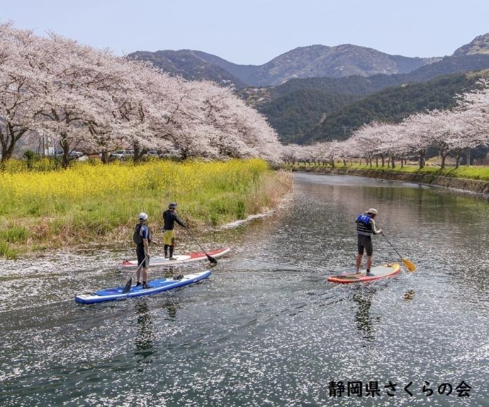 写真：春を見つけた日