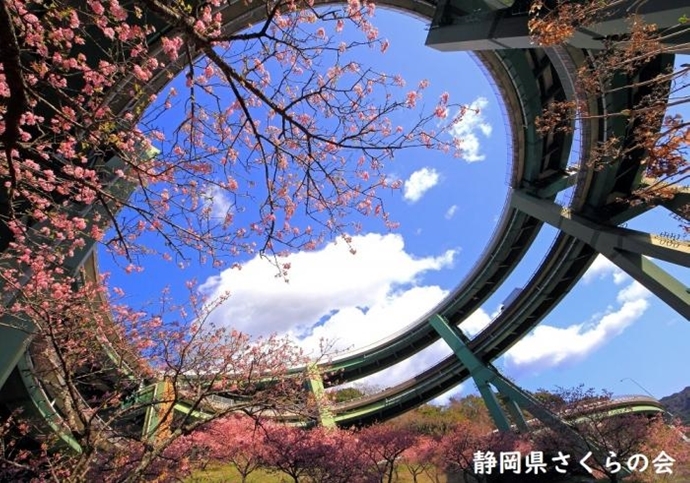 写真：早春のループ橋