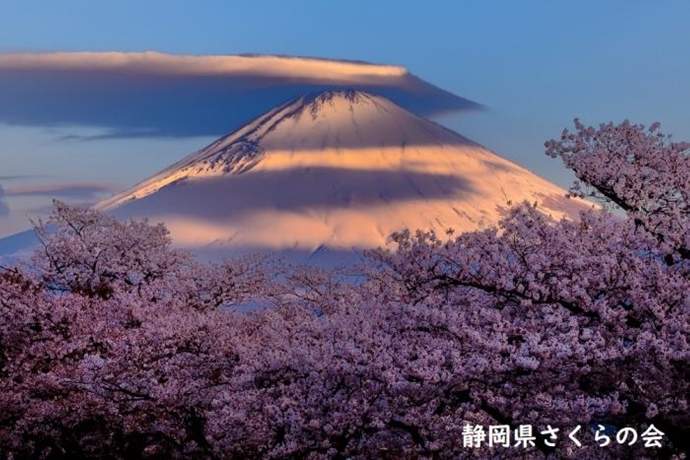 写真：朝の色