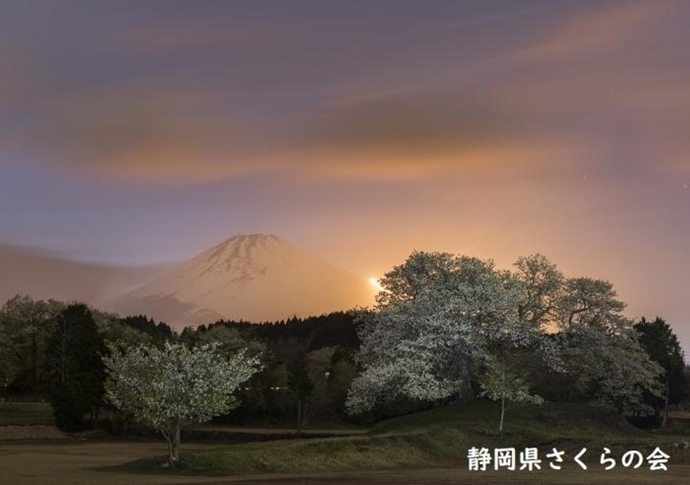 写真：夕照