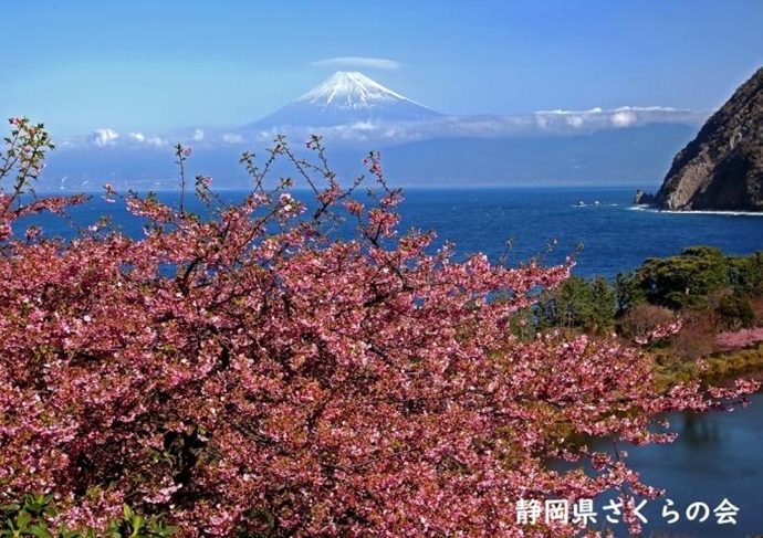 写真：早春の岬