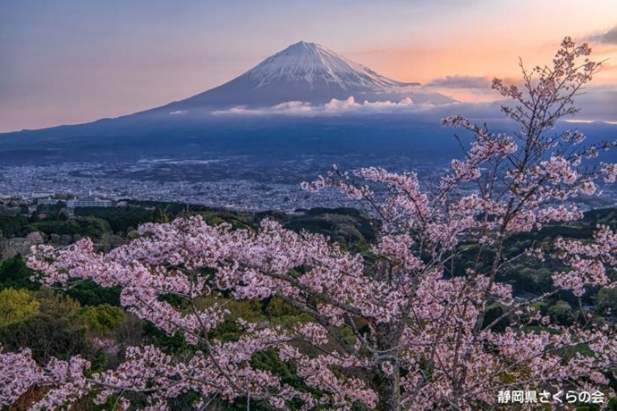 写真：春はあけぼの