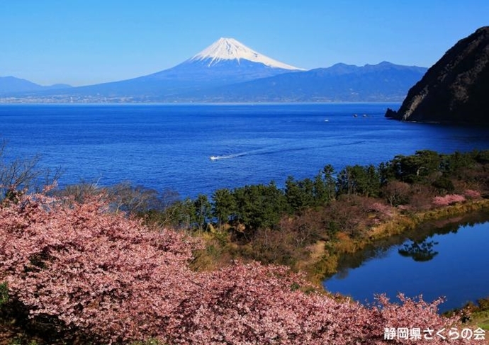 写真：海辺の春