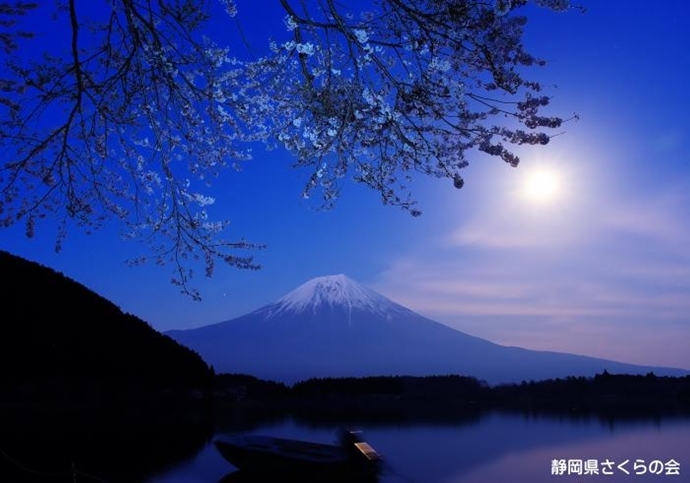 写真：月夜の湖畔