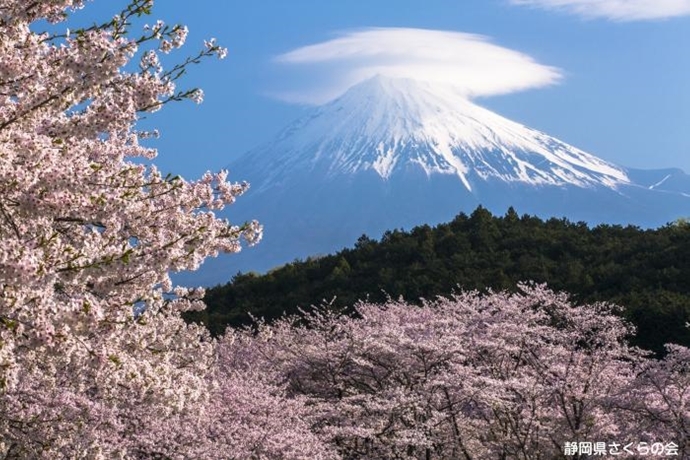 写真：春の訪れ