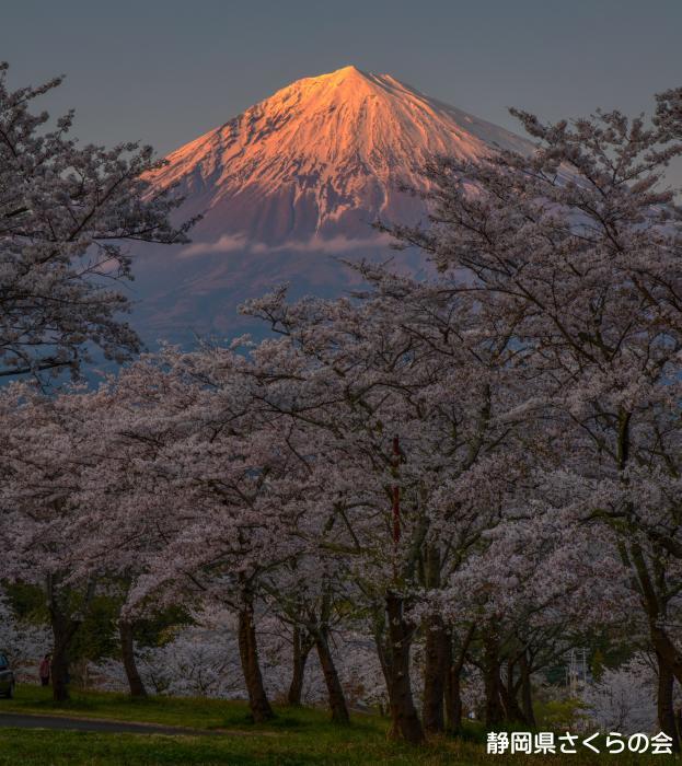 写真：残照