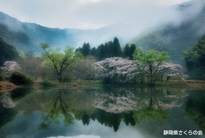 写真：雨間のほとり