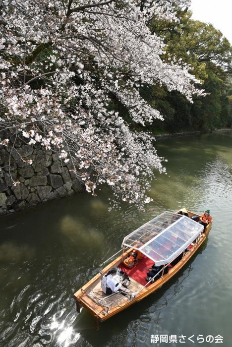 写真：春を楽しむ