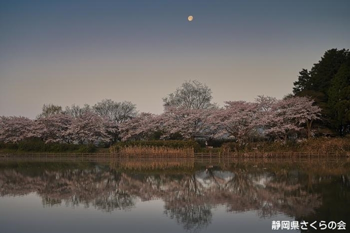 写真：残照