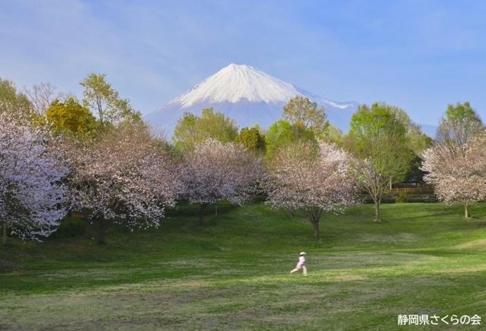 写真：春が駆けてゆく