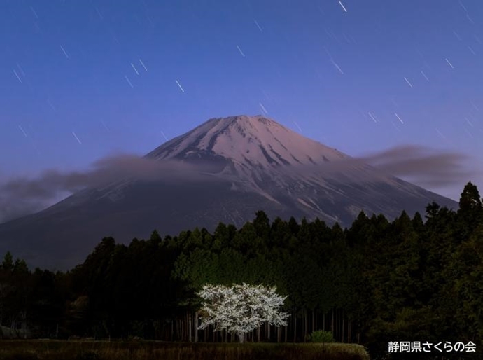 写真：残照