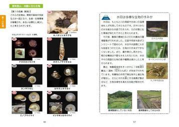 写真：静岡県レッドデータブック普及版　内容見本