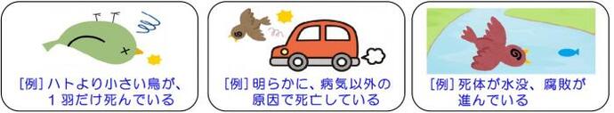 イラスト：［例］鳩より小さい鳥が1羽だけ死んでいる　明らかに病気以外の原因で死亡している　死体が水没、腐敗が進んでいる