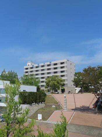 写真：静岡大学