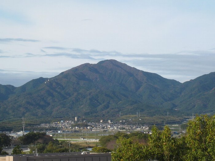 写真：伊勢富士