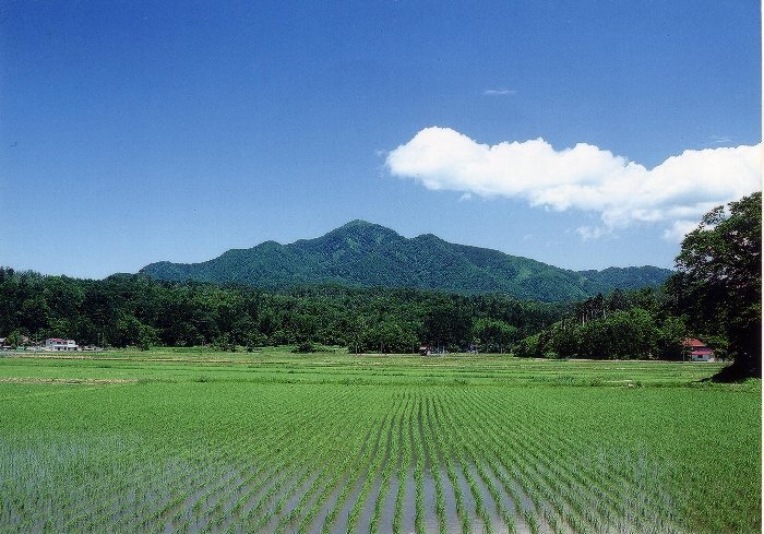 写真：越後富士