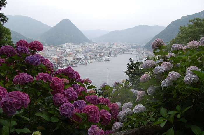 写真：下田富士