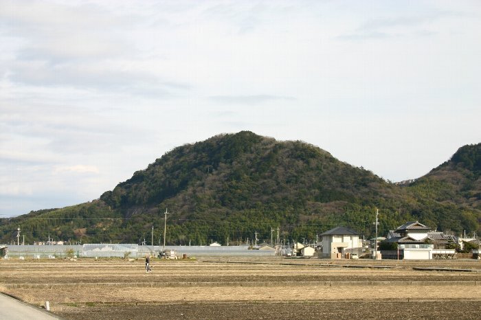 写真：介良富士