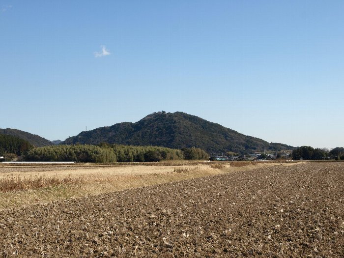 写真：鴨川富士