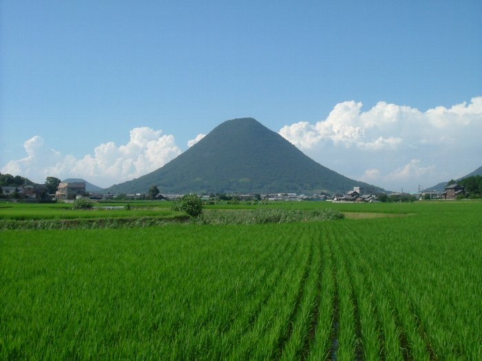 写真：讃岐富士